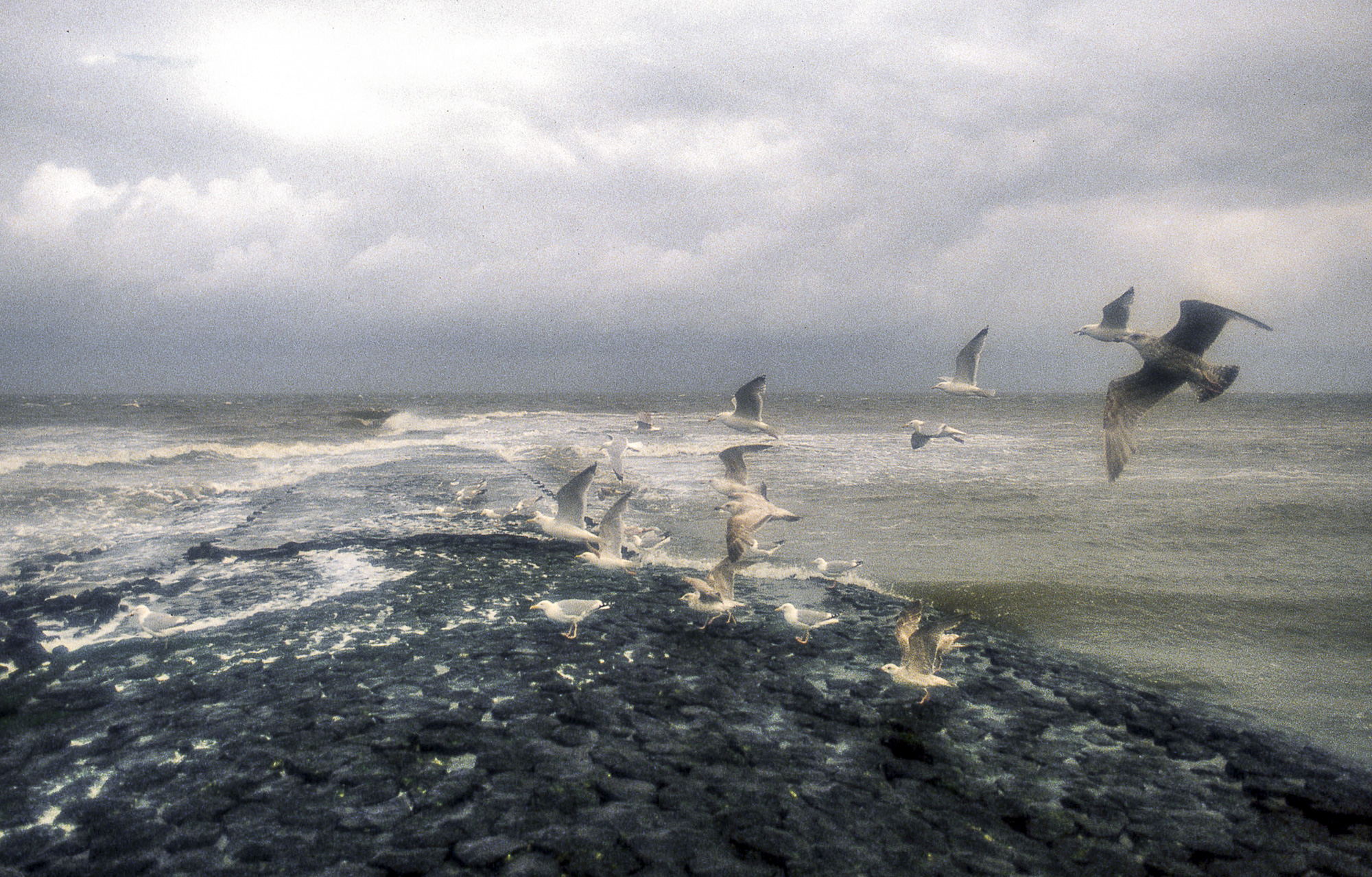North sea